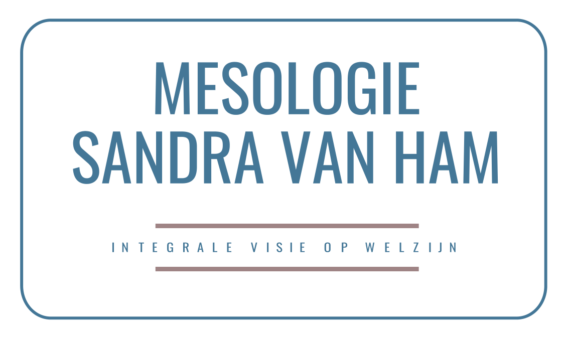 Mesologie – Sandra van Ham – Breda